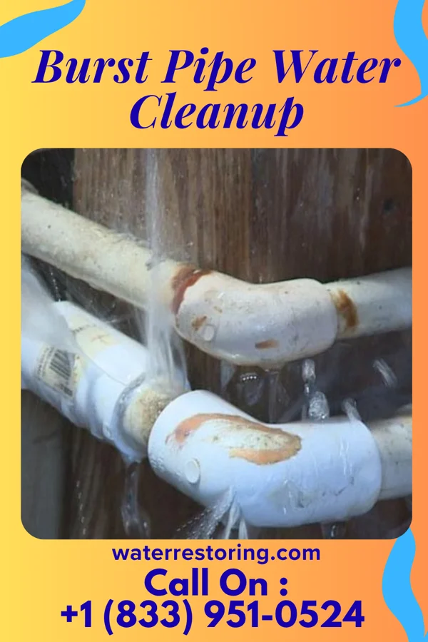 Burst Pipe Water Cleanup in Conneaut Lake, PA
