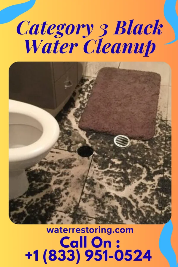 Category 3 Black Water Cleanup in Conneaut Lake, PA