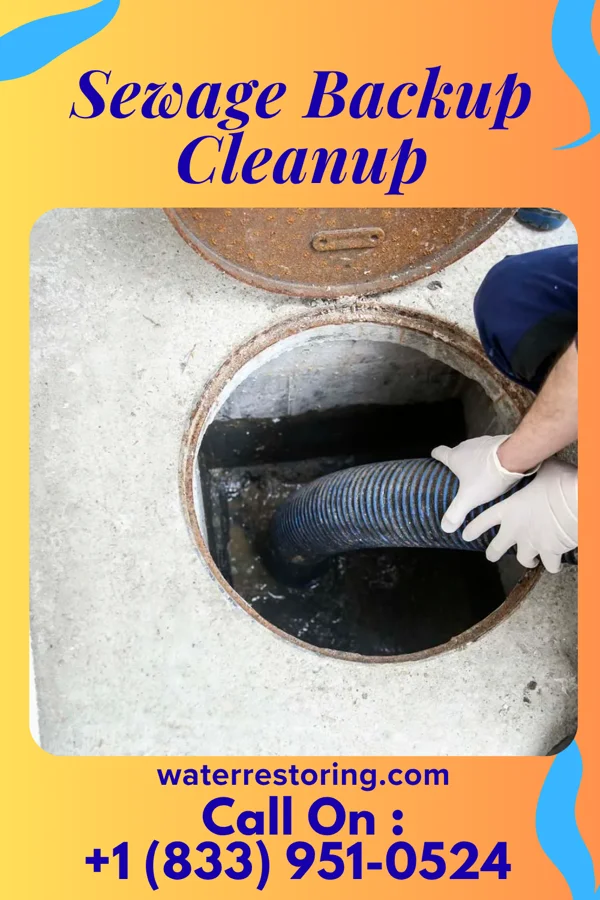 Sewage Backup Cleanup in Conneaut Lake, PA