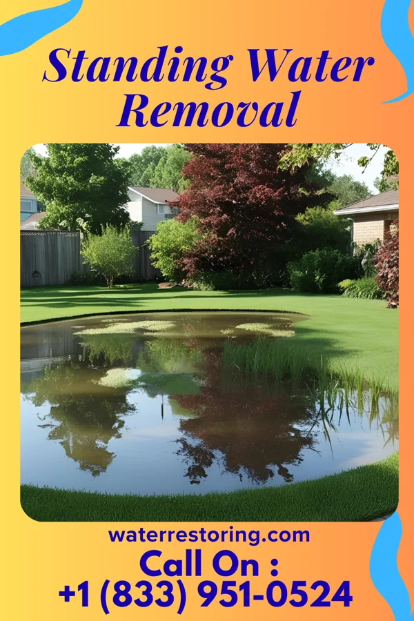 Standing Water Removal in Conneaut Lake, PA